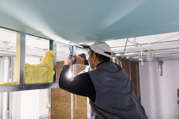 Best Insulation Materials and Products in Long Prairie, MN