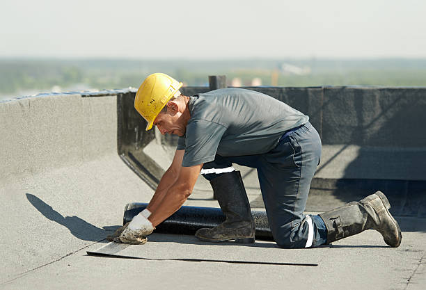 Best Insulation Maintenance and Repair in Long Prairie, MN