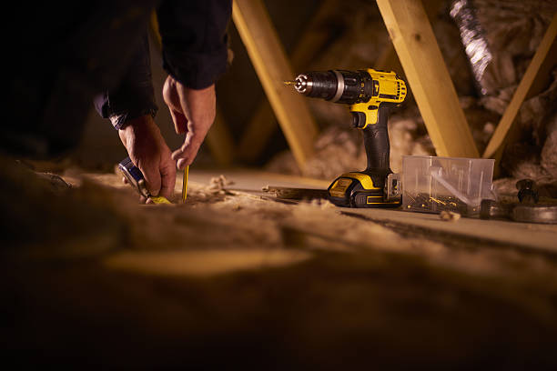 Best Insulation Installation Services in Long Prairie, MN